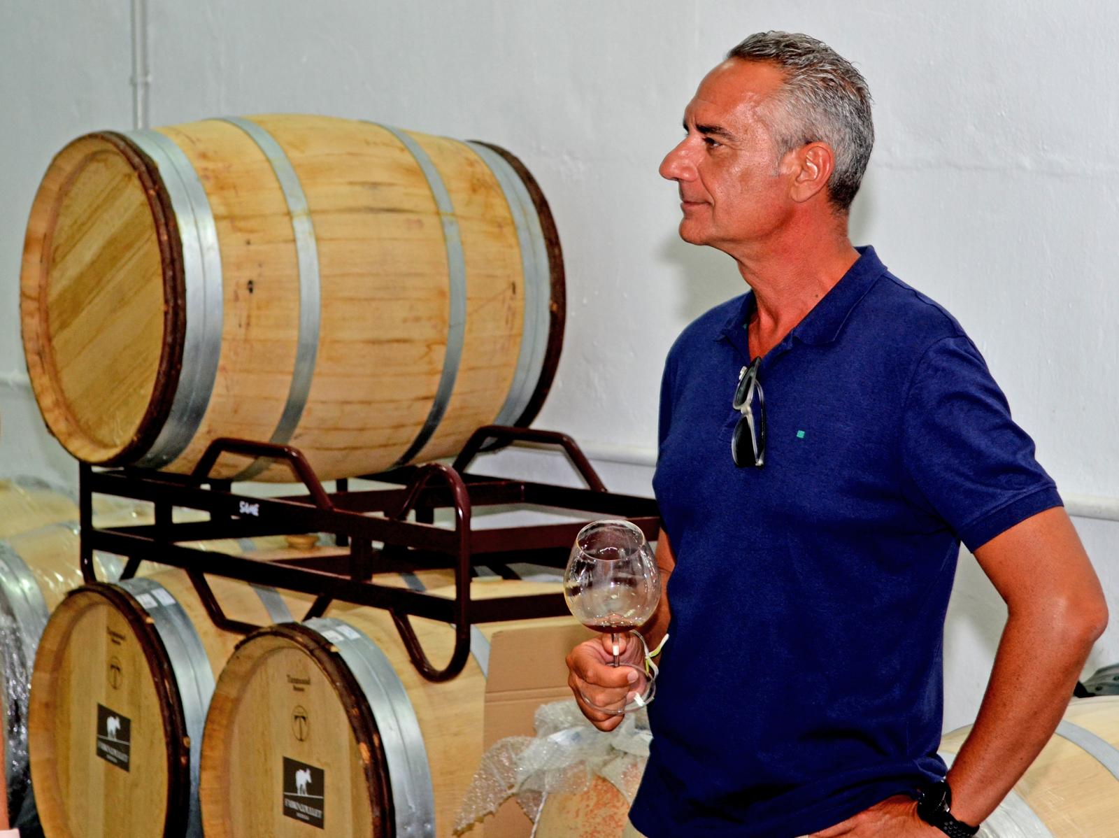 Druiventros in een bodega